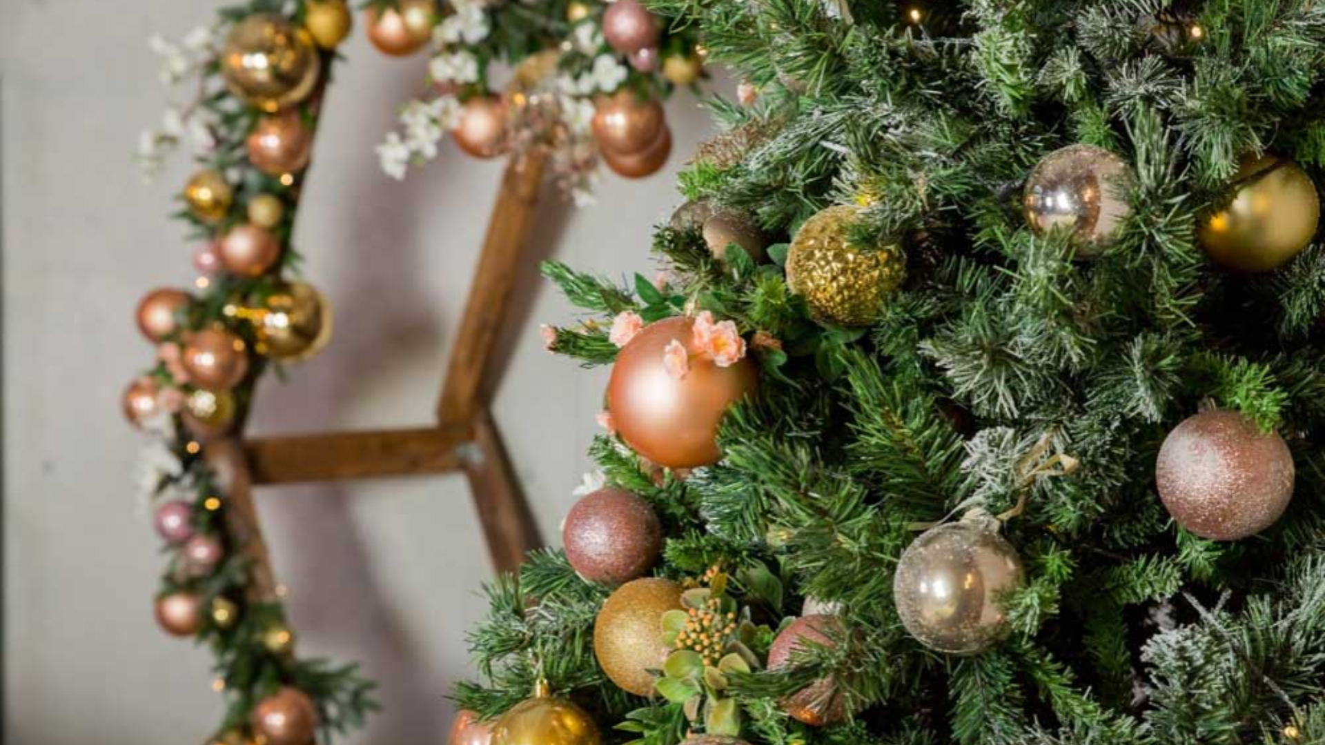 Last_Years_Ornaments_to_Decorate_Bushes_and_Trees