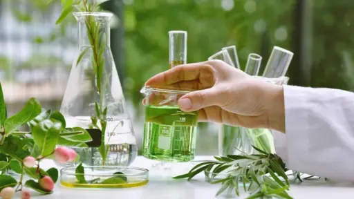 Botanical Extracts as Natural Medicines