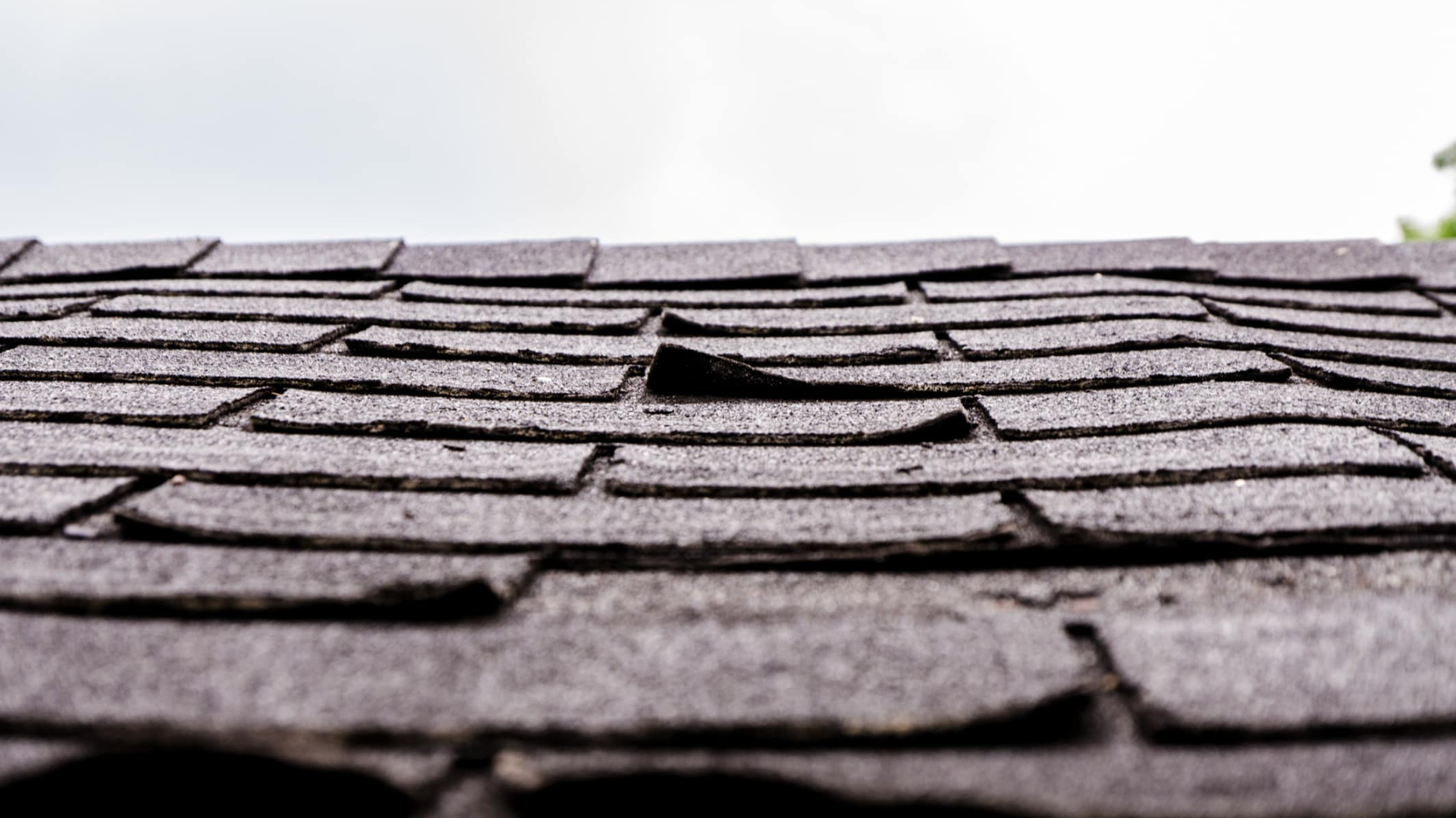 Shingle_Lifting_or_Curling