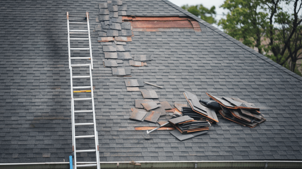 Signs You Only Need a Roof Repair