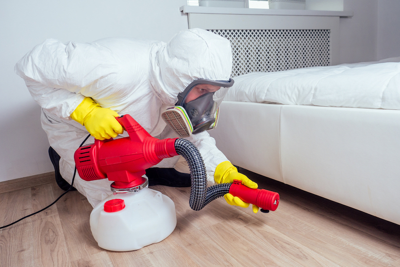 What Omaha Homeowners Should Expect from Local Pest Control Services