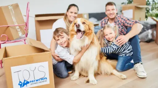 Moving With Pets in the City: Finding Pet-Friendly Rentals and Surviving the Relocation