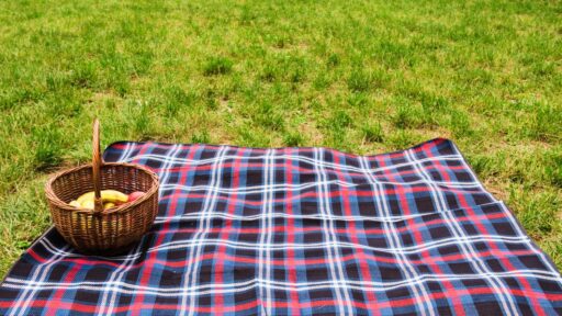 Easy-Clean Outdoor Picnic Rugs for Camping and Parks and Soft, Cozy Bedroom Rugs for a Warm, Inviting Space