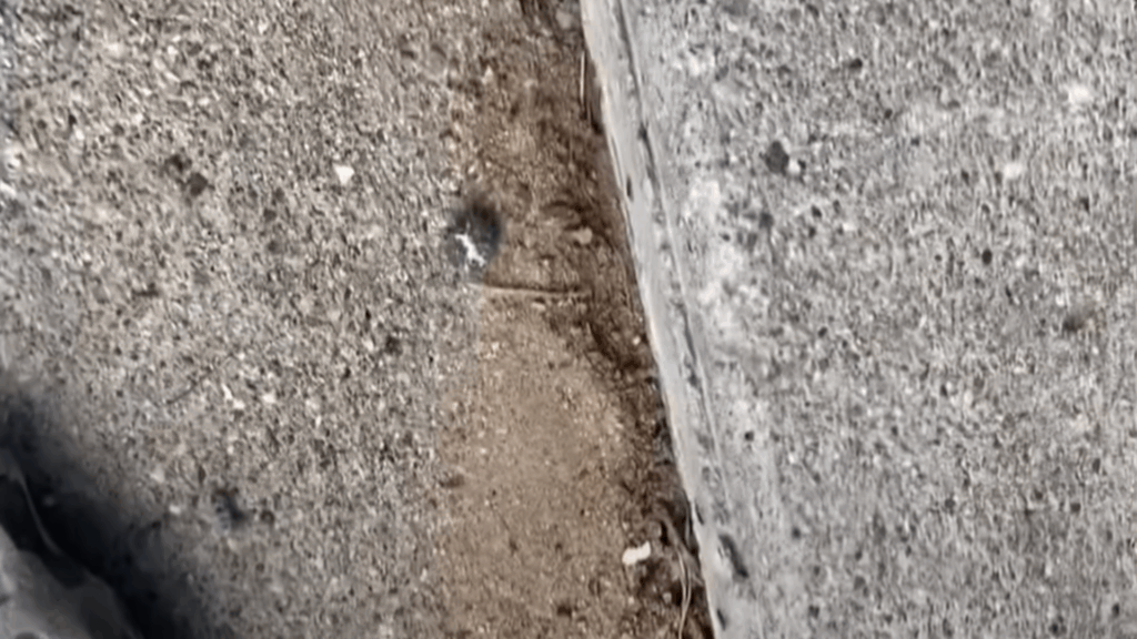 STEP-1 CONCRETE FOAM