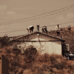 Don't Ignore These 4 Broken Roof Warning Signs at Home