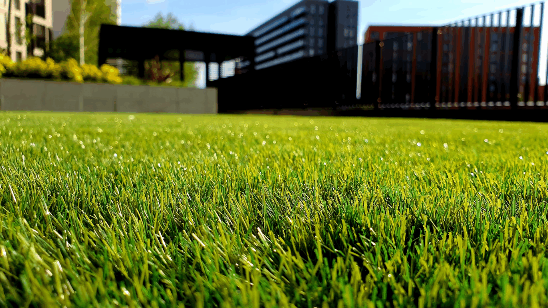 A Cleaner, Greener Look: Synthetic Turf for Residential Spaces