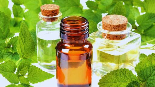 Harnessing Nature's Pharmacy: A Complete Guide to Botanical Extracts in Natural Medicine