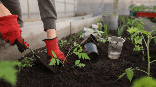 xProtecting Your Beautiful Garden from Common Nighttime Visitors