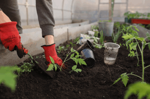 xProtecting Your Beautiful Garden from Common Nighttime Visitors