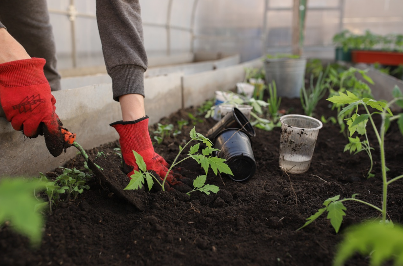 xProtecting Your Beautiful Garden from Common Nighttime Visitors