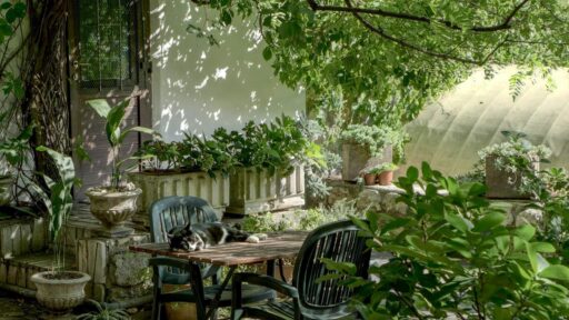 Anyone who has considered outdoor furniture must have gotten suggestions of a wicker chair or a rattan table at least once, and those are actually great options. Building a yard that you love requires basic research on what works in your own home and what lasts longer, coupled with what doesn't clash with the current aesthetic. This article points you in the right direction. Whether you buy from an online furniture store or at a garage sale, get quality furniture that provides comfort and meets your taste. Define Your Style Start out by mapping out what you want your garden to look like. If your garden in Dubai has thick foliage that takes a lot of space, opt for minimalist outdoor chairs that let you notice the gorgeous results of hours of work. However, while the plants are still young, you can create a little sitting area that you can switch up or rearrange to accommodate the growing plants. Yet, these are just suggestions. You might be more of the mix-and-match kind, and your garden might have a bit of this and that. Channel the flow of your creativity to your furniture as well. See your garden space as an outdoor room, like any other room that can have a theme and mood. You might be leaning more towards a fun and relaxed mood. Don't joke with the colour schemes, as it can emphasize some things and refocus your attention on others. Proper thinking time actually determines a huge chunk of the outcome. Aesthetically Pleasing and Comfortable? Yes, please! Enjoy a change of scenery from the interior of your house in comfort. You will notice body pains if the furniture is not suitable, anyway. So, what features must you look out for to save your back from pain? Supportive Design Furniture can support your body and still be well-crafted; it's not a myth. Ergonomically designed chairs have good lumbar support and comfortable armrests. Good cushioning is also not too much to ask. This should be thick enough to keep you comfortable and firm enough not to change shape. Whatever the type of chair, consider this factor first. If you're buying from a physical furniture store, then don't be afraid to test it out, and if you're getting yours online, assess the reviews thoroughly on this feature. Handles Weather Well There's no point getting outside chairs that can't be used outside. After looking at the structure, check whether it's weatherproof. When you order furniture in the Dubai, think of UV-resistant and durable materials, like powder-coated aluminum and teakwood. Your umbrellas and cushions can also come with water-resistant fabric. Then, while looking out for this feature, consider buying covers for some of the furniture and regular maintenance to improve their longevity. Include the Fluffy Items You can increase the comfort level by adding soft materials like pillows, rugs, and blankets to these tough and durable materials. You can soften the impact with some fabric, especially if you sit for long hours. Working with the Space You Have The size of the garden is inconsequential to how breathtaking it can be, but it's important for determining the furniture size you can allow. A large sofa simply can't look good in a small garden. Manage your space by picking nifty furniture that folds or stacks. It's even better if it's multipurpose, as this method presents a lot of possibilities. Conclusion Now you have the tools to make better decisions that will get you quality furniture, even in such sunny cities as Dubai. Take the move to upgrade your garden corner and include that furniture set you've been eyeing.