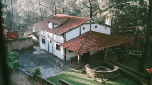 Roof Stains 101: What They Mean and When to Worry