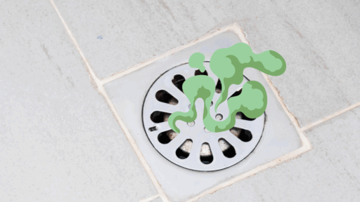Why is There Sewage Smell in House? Common Causes and Fixes
