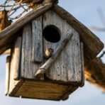 How Can You Create a Cozy Home for Your Feathered Friends?