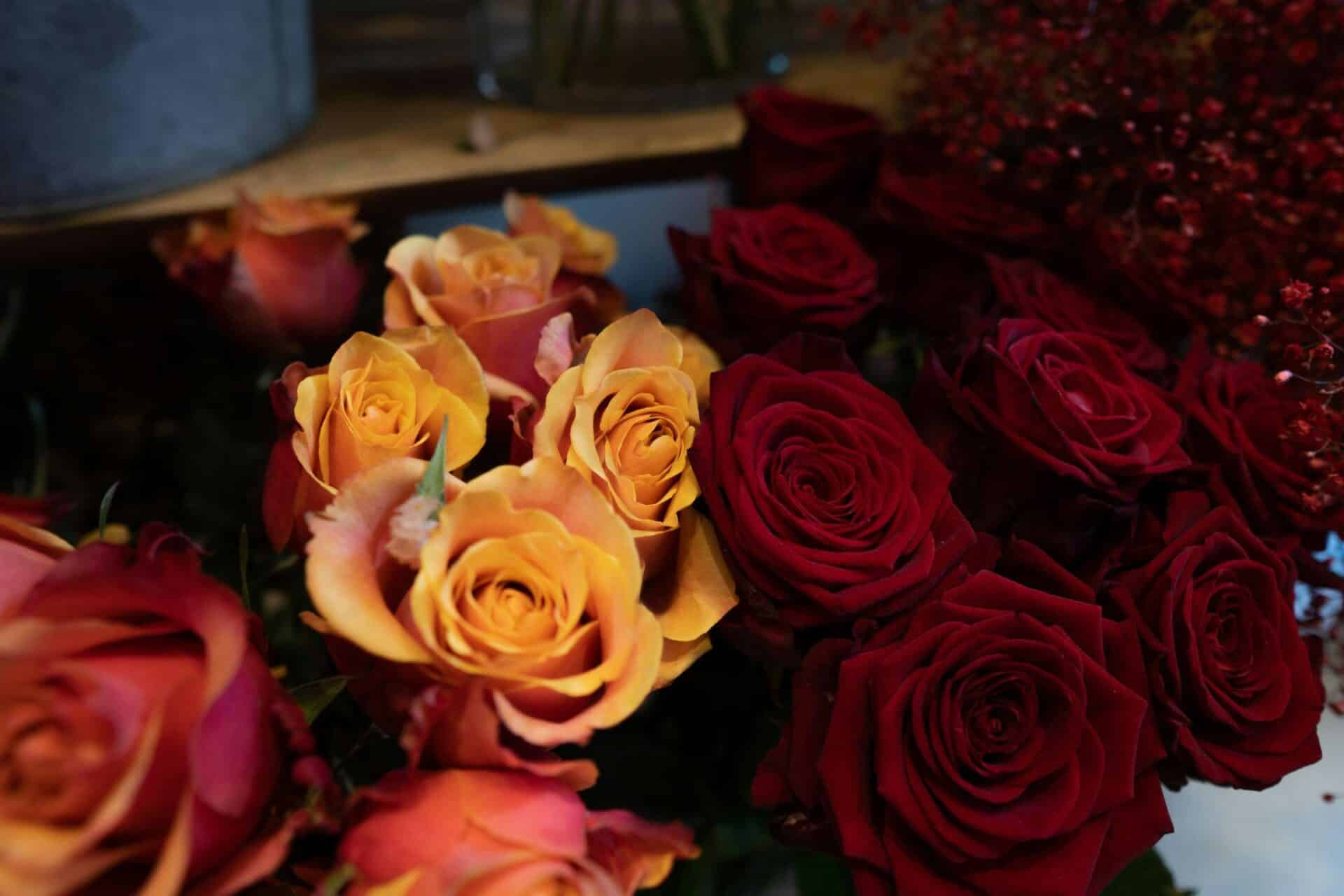 Big Bouquets of Roses: How to Transform Your Home with Elegant, Timeless Beauty