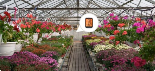 Greenhouse Gardening: How Hygrometers Boost Plant Growth