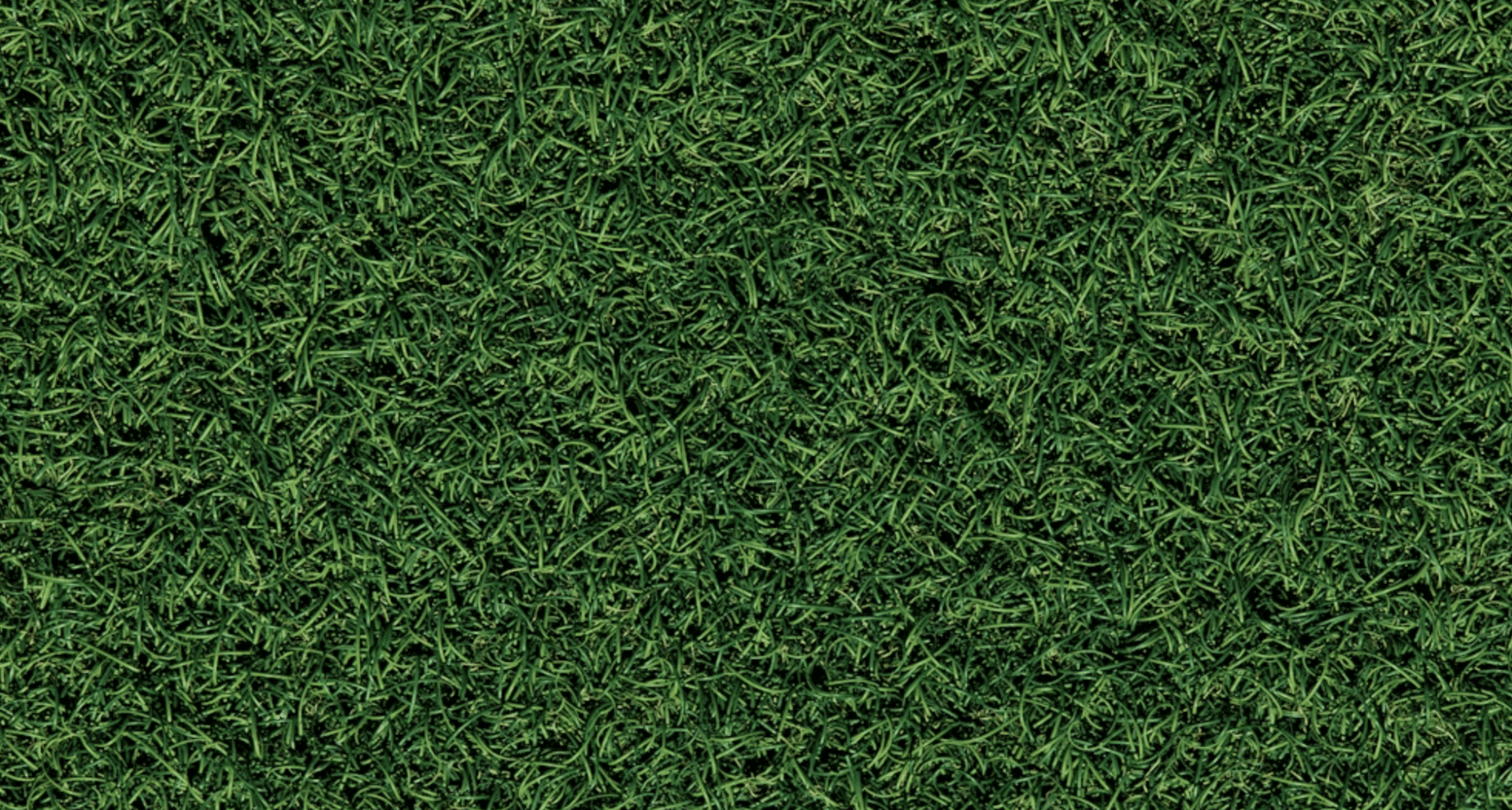 Top 5 Lawn Care Services in Cleveland: Best Local Companies for a Healthy Lawn