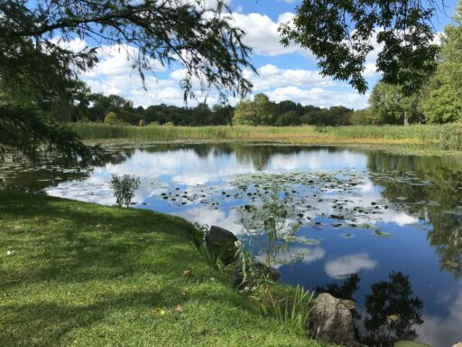 Top 10 Bes Retention Pond Maintenance Companies in North Georgia