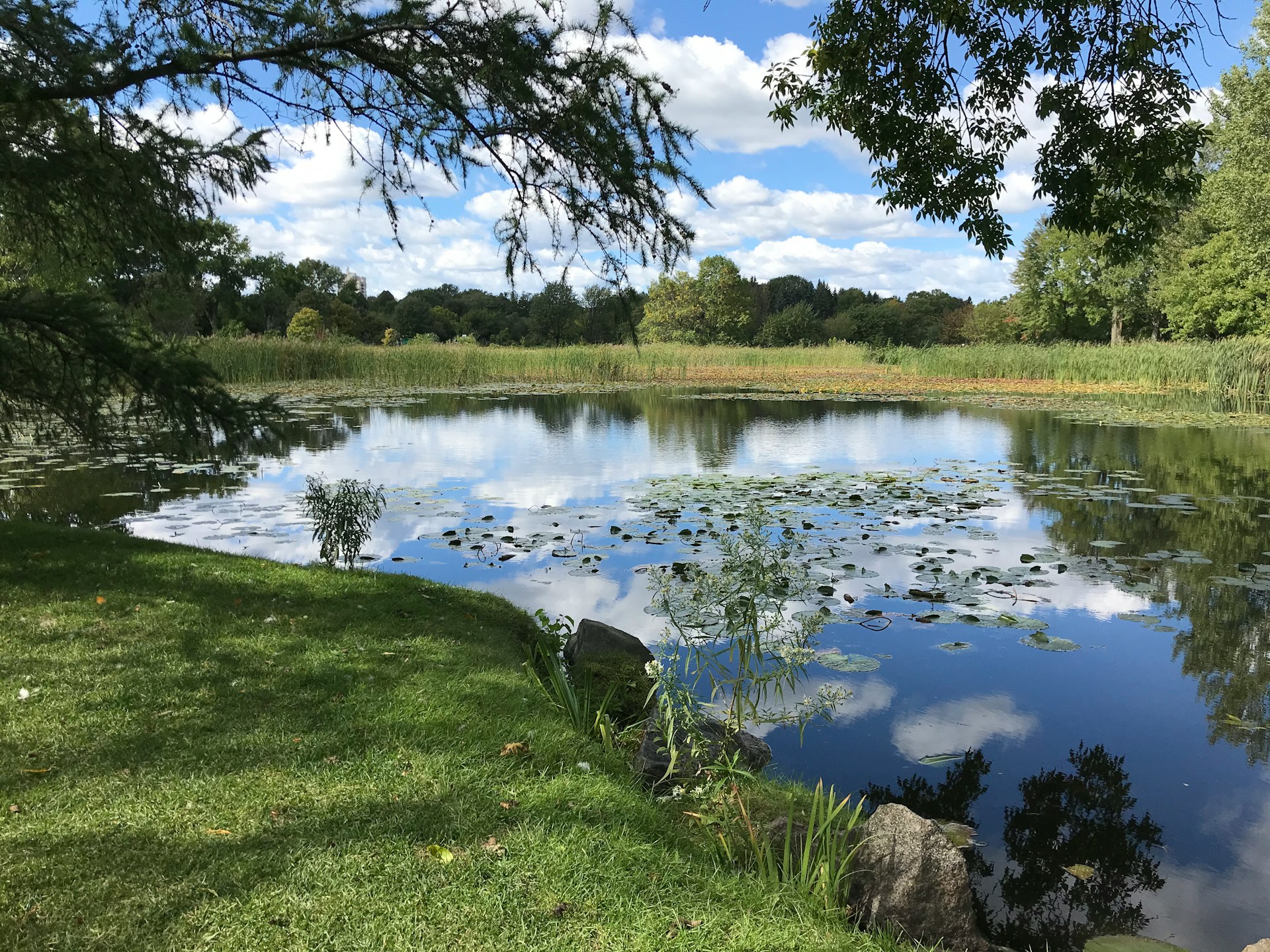 Top 10 Bes Retention Pond Maintenance Companies in North Georgia