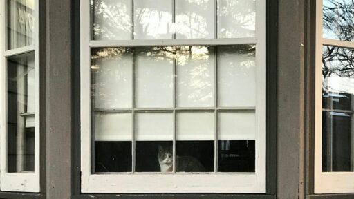 Window Installation Services Churchville PA: What to Expect