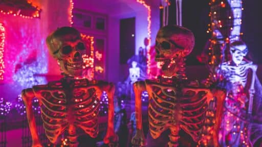 Beginner’s Guide to Laser Cutting Halloween Decor for Your Home