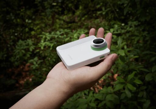 From Decor to Discovery: The Best Indoor House Plants and Their Microscopic Secrets