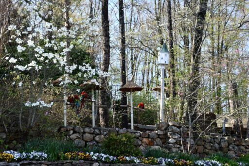 The Art of Slow Travel: Why Taking Your Time Makes Every Trip Better