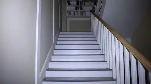 Bright Ideas for Modern Living: Discover the ArkPro Pure Flood