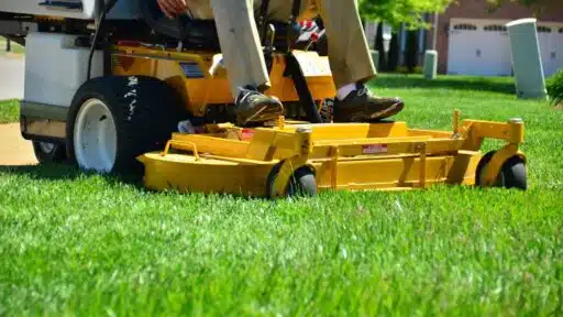 Professional Lawn Care Services for a Healthier Yard