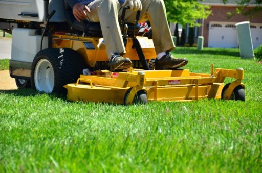 Professional Lawn Care Services for a Healthier Yard