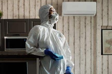 How Professional Mold Remediation Services Protect Your Property