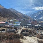 Rare Local Drinks Found Only in Mountain Lodges