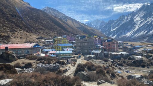 Rare Local Drinks Found Only in Mountain Lodges