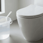 get to know how to flush a toilet when the water is off