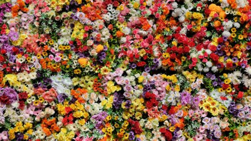 From Farm to Front Door: The Logistics of Hyper-Local, Same-Day Flower Delivery Success