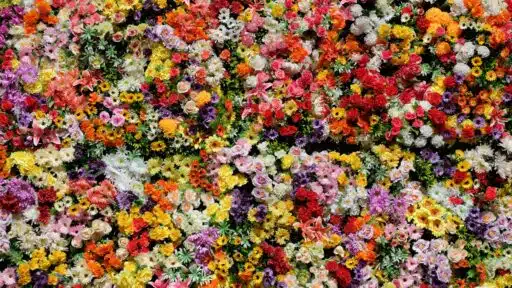 From Farm to Front Door: The Logistics of Hyper-Local, Same-Day Flower Delivery Success