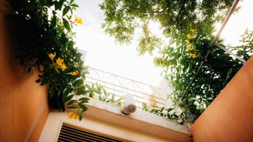 Top 10 Budget-Friendly Ways to Improve Your Home’s Airflow
