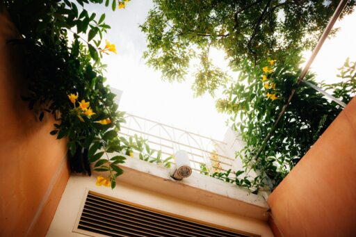 Top 10 Budget-Friendly Ways to Improve Your Home’s Airflow
