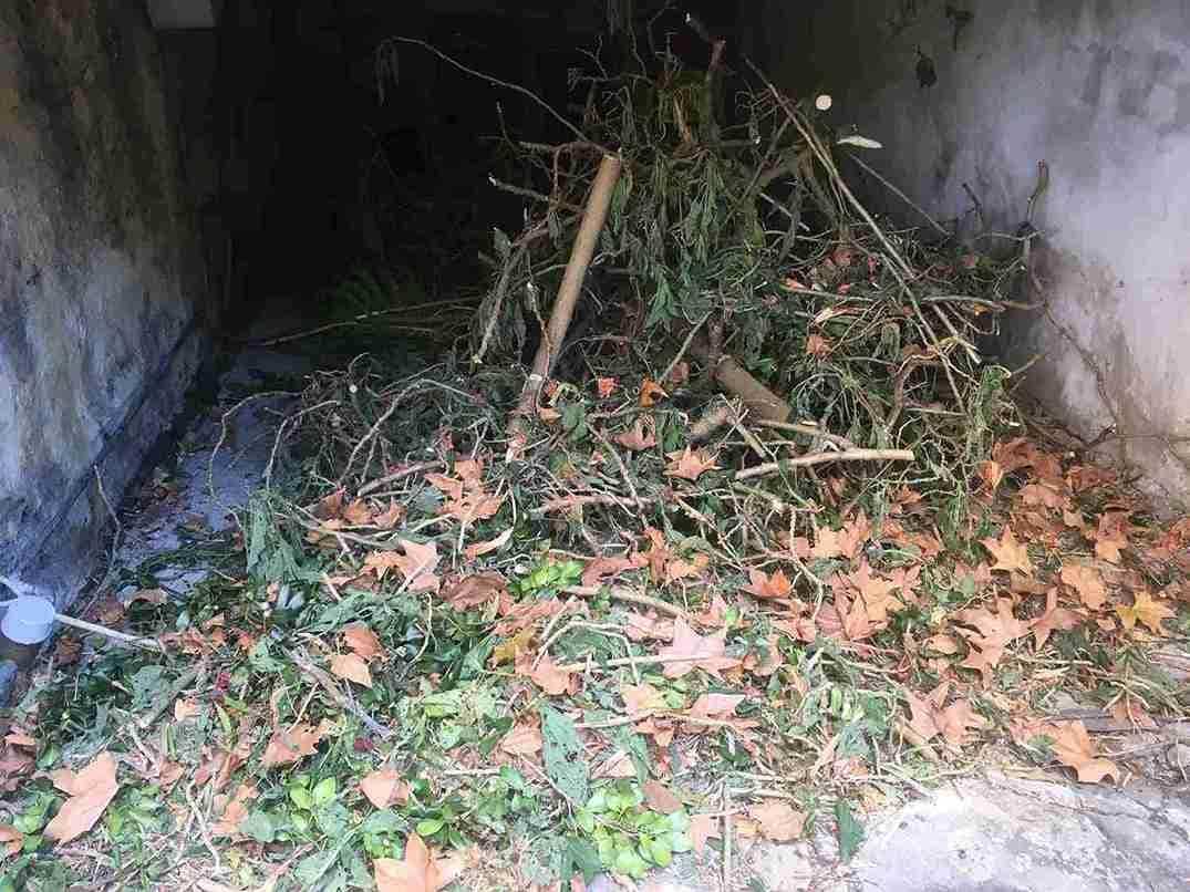 Piles of dry leaves and branches are scattered across a dimly lit, narrow concrete passageway