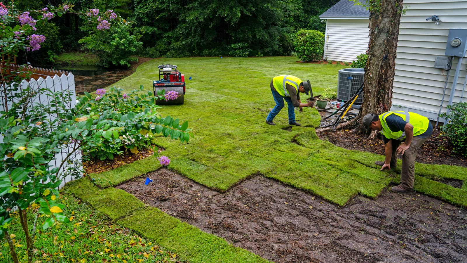 Sod Installation for a Beautiful Lawn | Creech Landscape