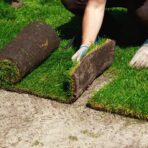 Sod Installation Guide – The 6 Main Steps to Installing Sod For Your Lawn…