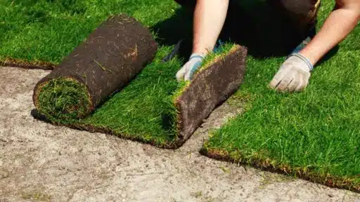 Sod Installation Guide – The 6 Main Steps to Installing Sod For Your Lawn…