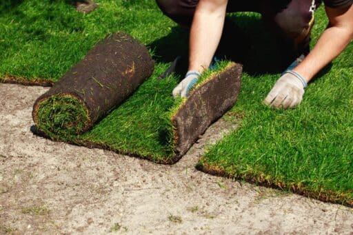 Sod Installation Guide – The 6 Main Steps to Installing Sod For Your Lawn…