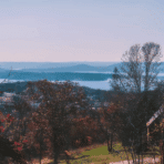 What Are the Most Common Trees in Missouri?