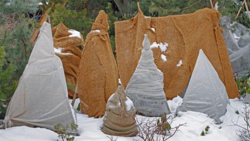 Winter Lawn & Plant Protection Tips for Homeowners