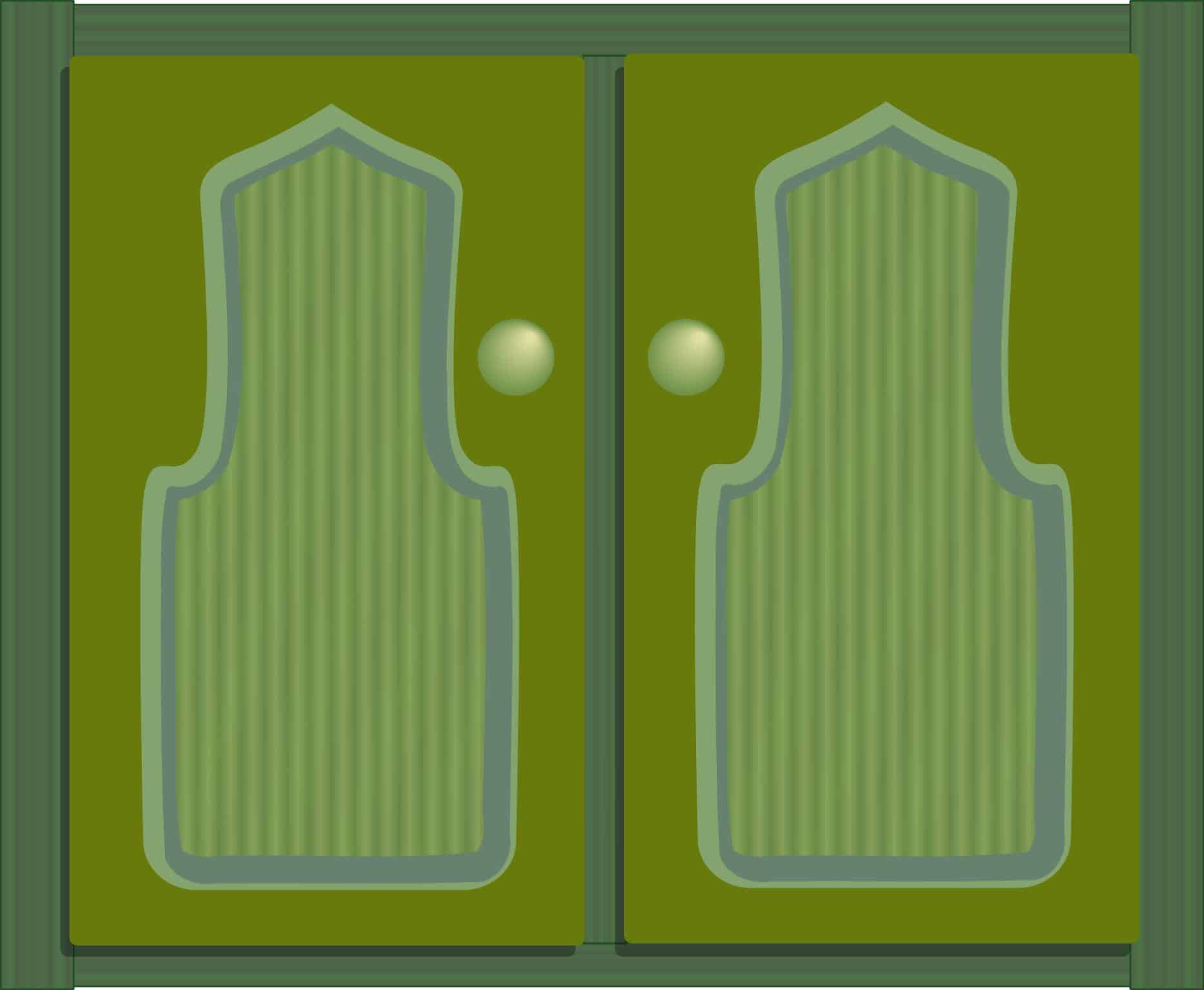 Stylish Swinging Interior Doors for Rustic and Modern Spaces