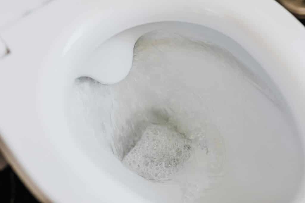 Toilet Flushing Failures: How Pipe Clogs Sneak Up on Your Home