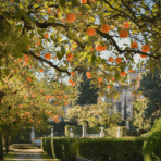 How to Design a High-End Landscape for Your Home