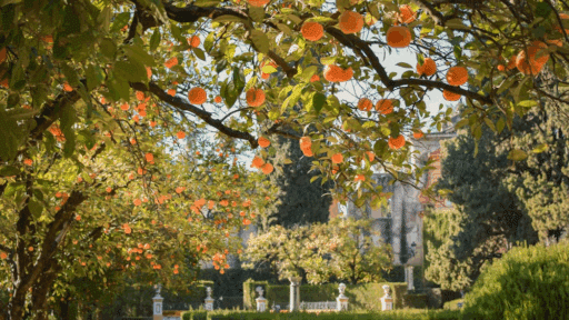 How to Design a High-End Landscape for Your Home