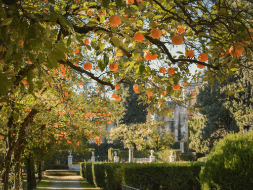 How to Design a High-End Landscape for Your Home